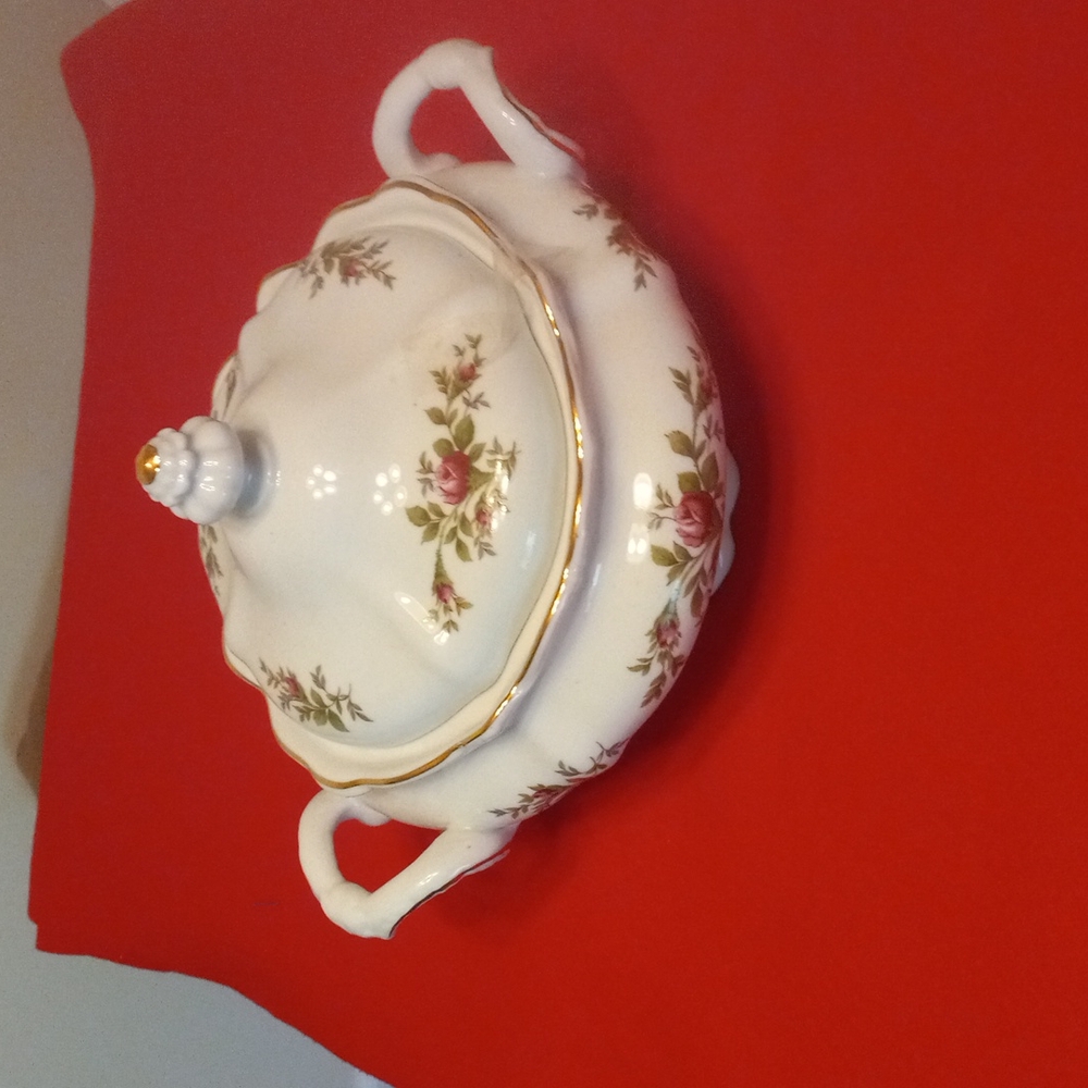 Antique soup terrein